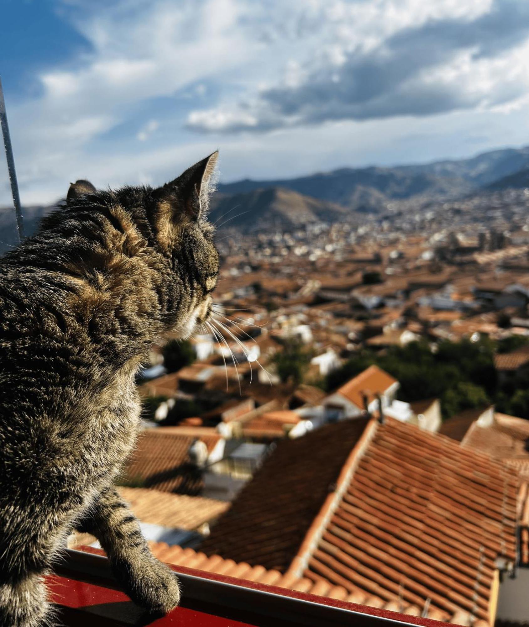Summit Viewpoint House San Blas Cuzco Kültér fotó